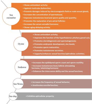 Frontiers Bioactives From Marine Animals Potential Benefits for